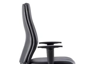 Onyx High Back Ergonomic Posture Chair with Height Adjustable Arms