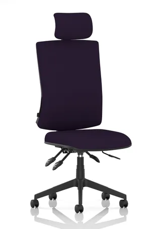 Orlena High Back Ergonomic Task Operator Office Chair